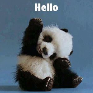 Meet your Posher, Debra